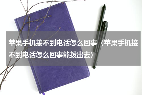 苹果手机接不到电话怎么回事（苹果手机接不到电话怎么回事能拨出去）