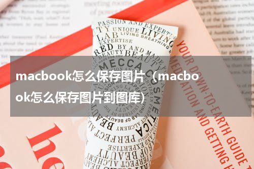 macbook怎么保存图片（macbook怎么保存图片到图库）