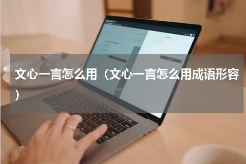 文心一言怎么用（文心一言怎么用成语形容）