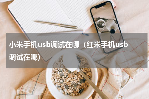 小米手机usb调试在哪（红米手机usb调试在哪）