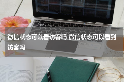 微信状态可以看访客吗 微信状态可以看到访客吗
