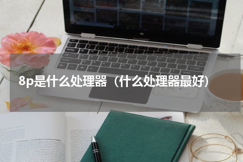 8p是什么处理器（什么处理器最好）