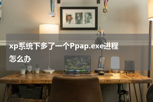 xp系统下多了一个Ppap.exe进程怎么办