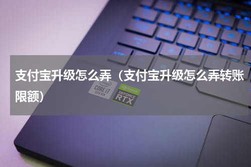 支付宝升级怎么弄（支付宝升级怎么弄转账限额）