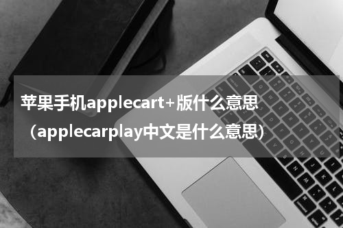 苹果手机applecart+版什么意思（applecarplay中文是什么意思）
