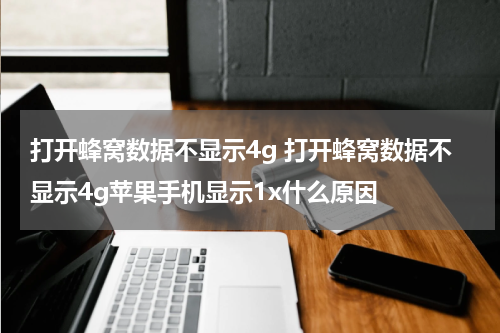 打开蜂窝数据不显示4g 打开蜂窝数据不显示4g苹果手机显示1x什么原因