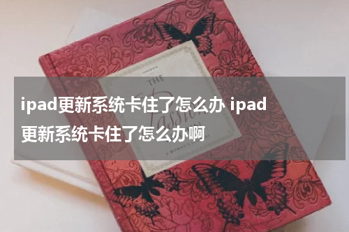 ipad更新系统卡住了怎么办 ipad更新系统卡住了怎么办啊