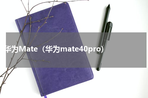 华为Mate（华为mate40pro）