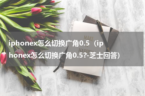 iphonex怎么切换广角0.5（iphonex怎么切换广角0.5?-芝士回答）