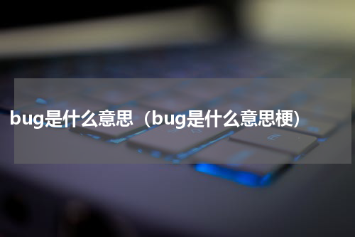 bug是什么意思（bug是什么意思梗）