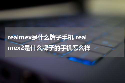 realmex是什么牌子手机 realmex2是什么牌子的手机怎么样
