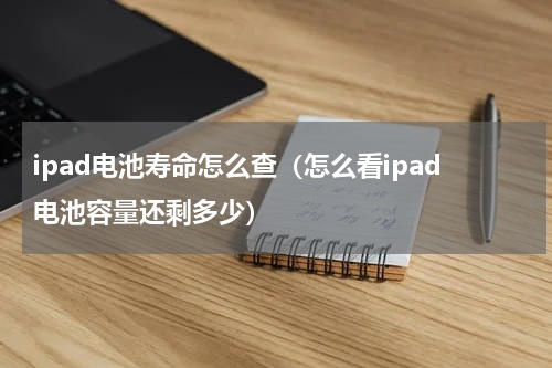 ipad电池寿命怎么查（怎么看ipad电池容量还剩多少）