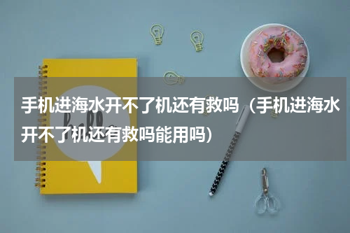 手机进海水开不了机还有救吗（手机进海水开不了机还有救吗能用吗）