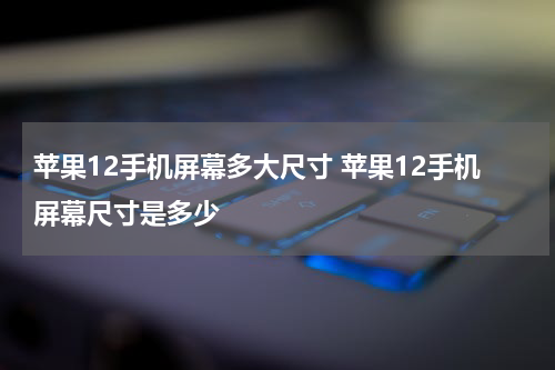 苹果12手机屏幕多大尺寸 苹果12手机屏幕尺寸是多少
