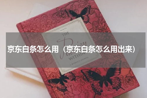 京东白条怎么用（京东白条怎么用出来）