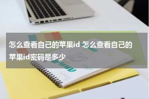 怎么查看自己的苹果id 怎么查看自己的苹果id密码是多少