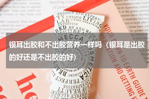 银耳出胶和不出胶营养一样吗（银耳是出胶的好还是不出胶的好）