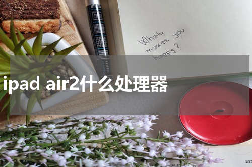 ipad air2什么处理器