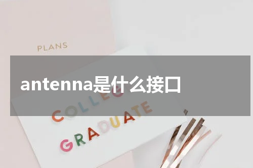 antenna是什么接口