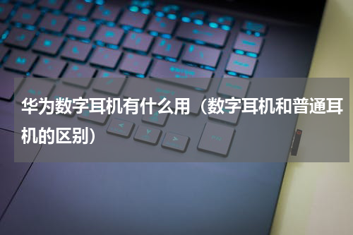 华为数字耳机有什么用（数字耳机和普通耳机的区别）