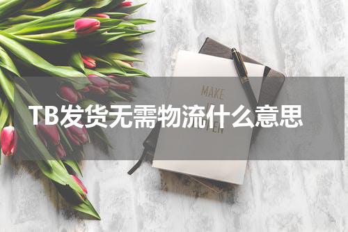 TB发货无需物流什么意思