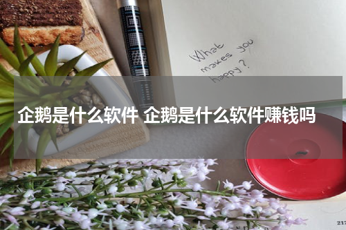企鹅是什么软件 企鹅是什么软件赚钱吗