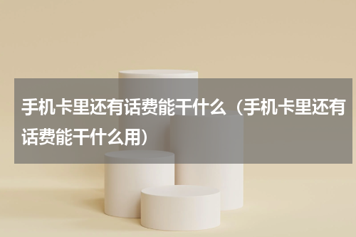 手机卡里还有话费能干什么（手机卡里还有话费能干什么用）