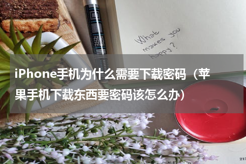 iPhone手机为什么需要下载密码（苹果手机下载东西要密码该怎么办）