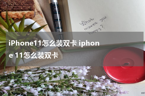 iPhone11怎么装双卡 iphone 11怎么装双卡