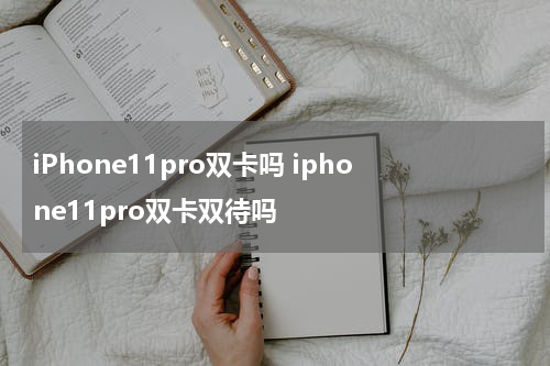 iPhone11pro双卡吗 iphone11pro双卡双待吗