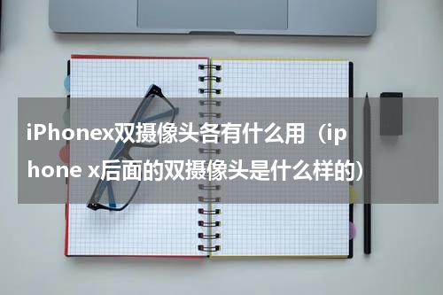 iPhonex双摄像头各有什么用（iphone x后面的双摄像头是什么样的）