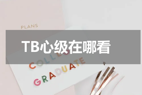 TB心级在哪看