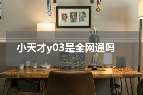 小天才y03是全网通吗