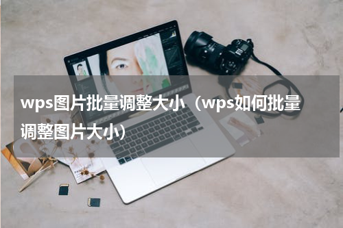 wps图片批量调整大小（wps如何批量调整图片大小）