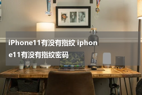 iPhone11有没有指纹 iphone11有没有指纹密码