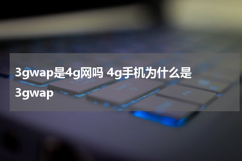 3gwap是4g网吗 4g手机为什么是3gwap