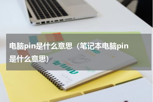 电脑pin是什么意思（笔记本电脑pin是什么意思）