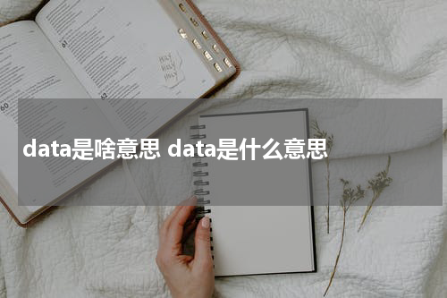 data是啥意思 data是什么意思