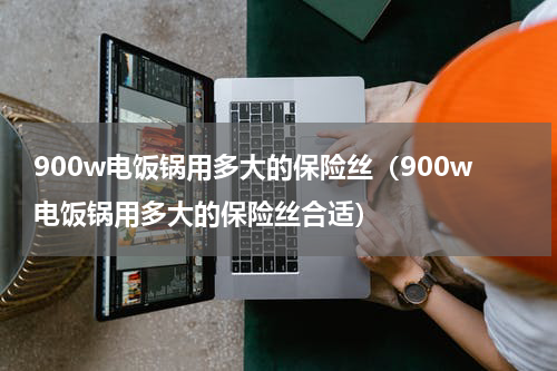 900w电饭锅用多大的保险丝（900w电饭锅用多大的保险丝合适）