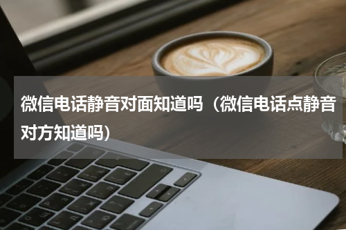 微信电话静音对面知道吗（微信电话点静音对方知道吗）