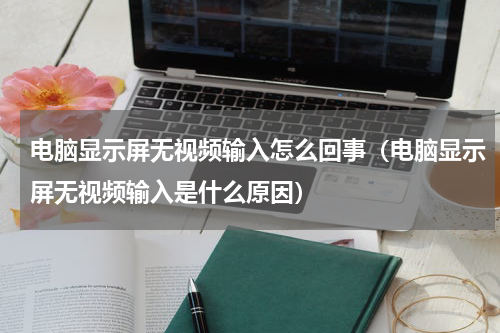 电脑显示屏无视频输入怎么回事（电脑显示屏无视频输入是什么原因）