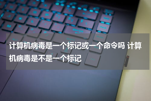 计算机病毒是一个标记或一个命令吗 计算机病毒是不是一个标记