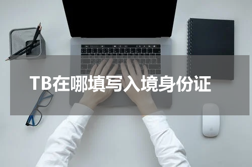 TB在哪填写入境身份证
