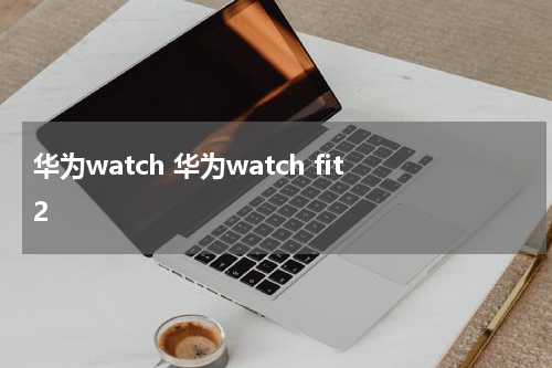 华为watch 华为watch fit2