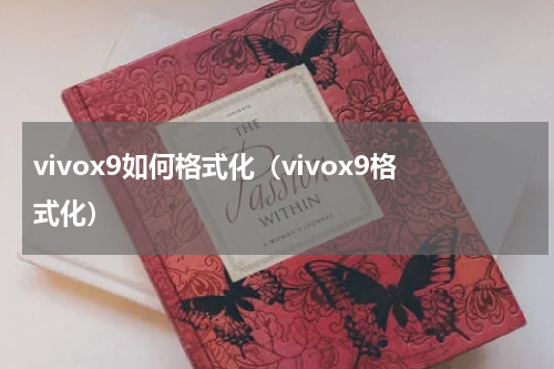 vivox9如何格式化（vivox9格式化）