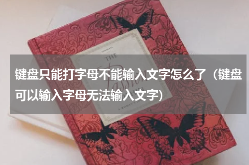 键盘只能打字母不能输入文字怎么了（键盘可以输入字母无法输入文字）