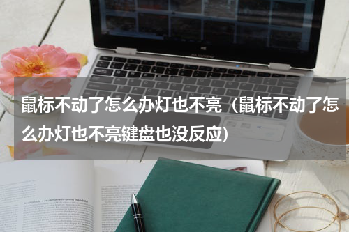 鼠标不动了怎么办灯也不亮（鼠标不动了怎么办灯也不亮键盘也没反应）