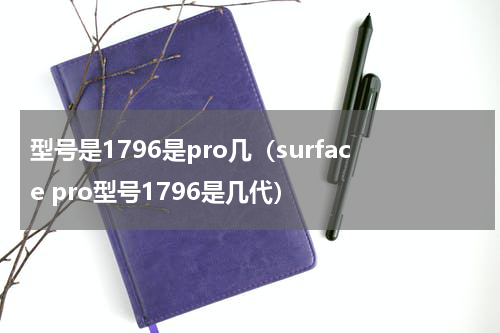 型号是1796是pro几（surface pro型号1796是几代）