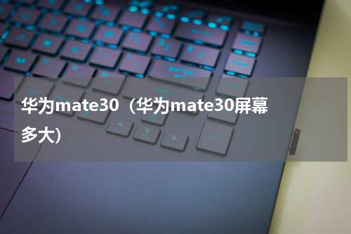 华为mate30（华为mate30屏幕多大）