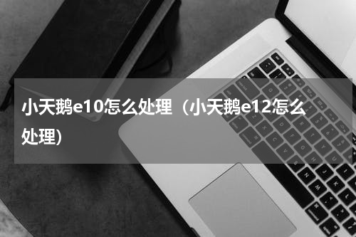 小天鹅e10怎么处理（小天鹅e12怎么处理）